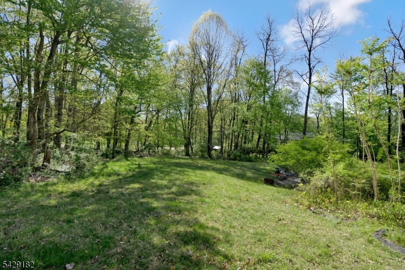 104 Redmont Road Watchung, NJ 07069 - Photo 3 of 16