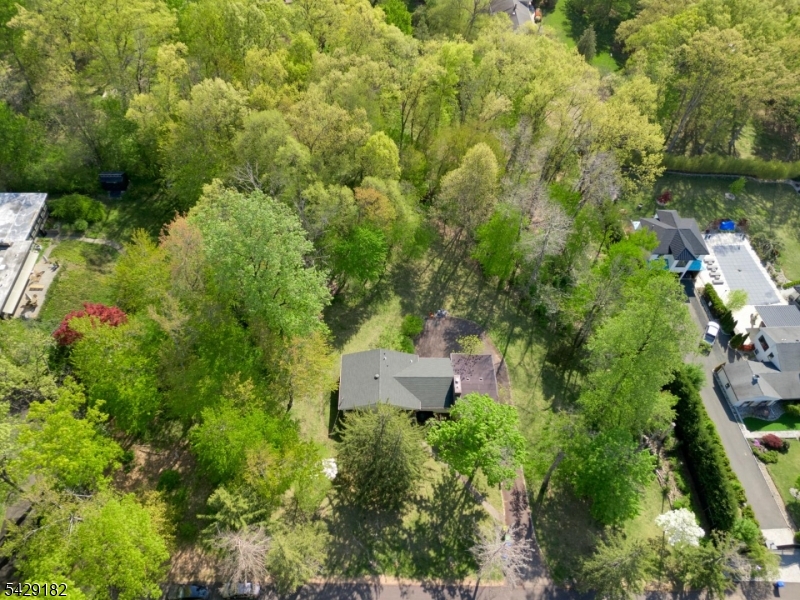 104 Redmont Road Watchung, NJ 07069 - Photo 4 of 16