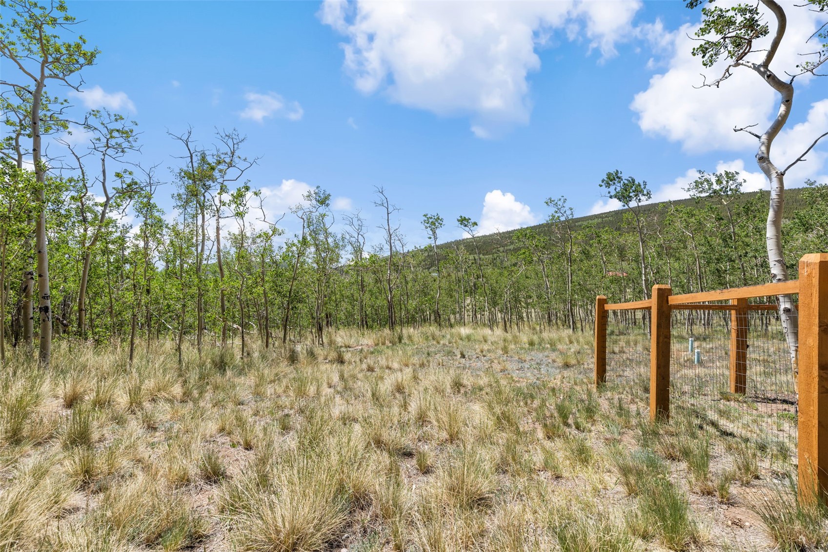 108 Sheep Ridge Road Fairplay, CO 80440 - Photo 34 of 39