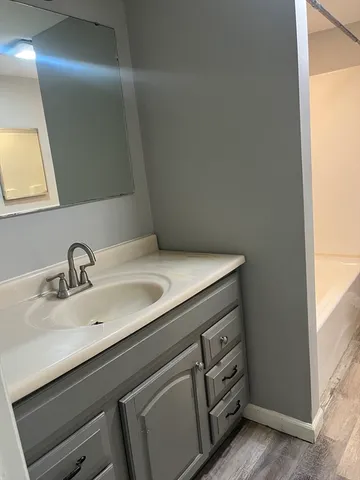 a bathroom with a sink and a mirror