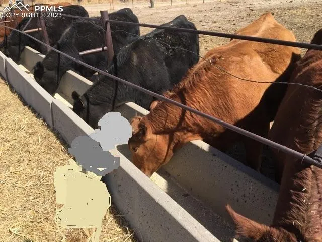 a view of a lake from a yard