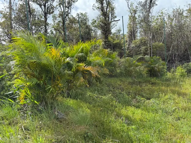 $79,900 | 2 Palainui Street, Pahoa, HI 96778