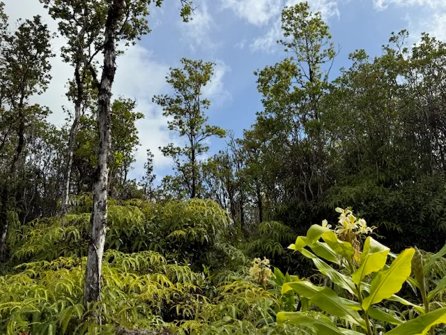 $79,900 | 2 Palainui Street, Pahoa, HI 96778