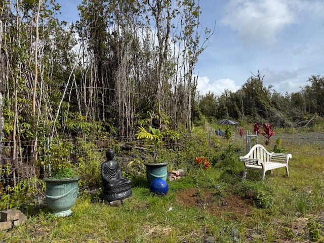 2 Palainui Street Pahoa, HI 96778 - Photo 6 of 16