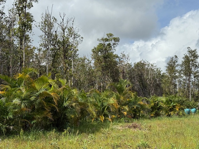 2 Palainui Street Pahoa, HI 96778 - Photo 7 of 16