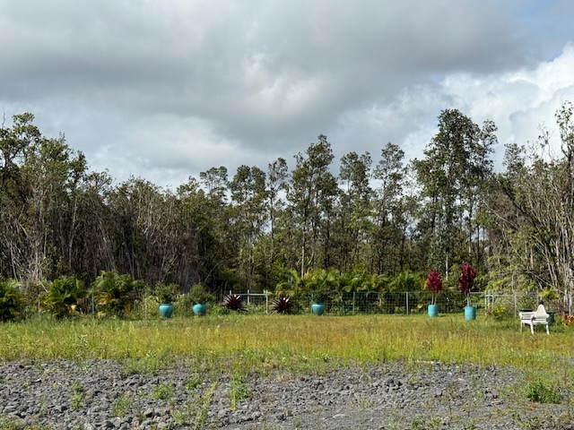 2 Palainui Street Pahoa, HI 96778 - Photo 9 of 16