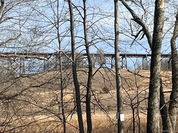 a picture of trees