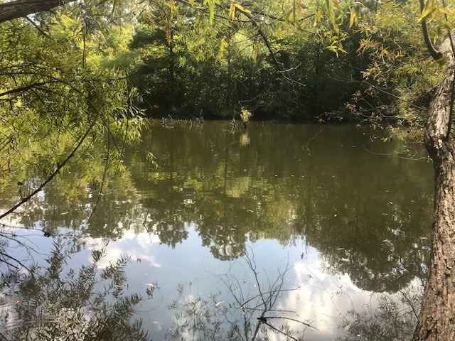 771 Hyde Road Northwest Resaca, GA 30735 - Photo 25 of 27 a view of lake