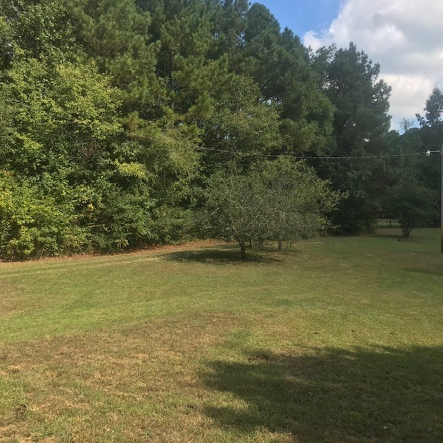 771 Hyde Road Northwest Resaca, GA 30735 - Photo 4 of 27 a view of an ocean