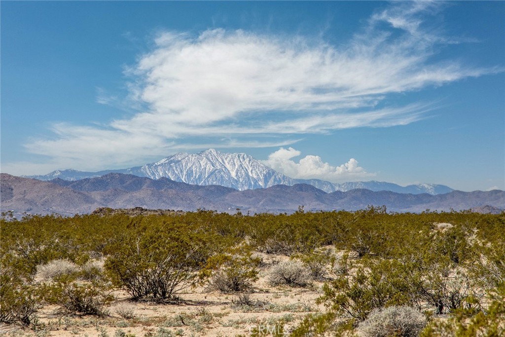 1235 Cascade Road Joshua Tree, CA 92252 - Photo 1 of 1