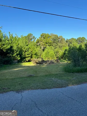 a view of a yard