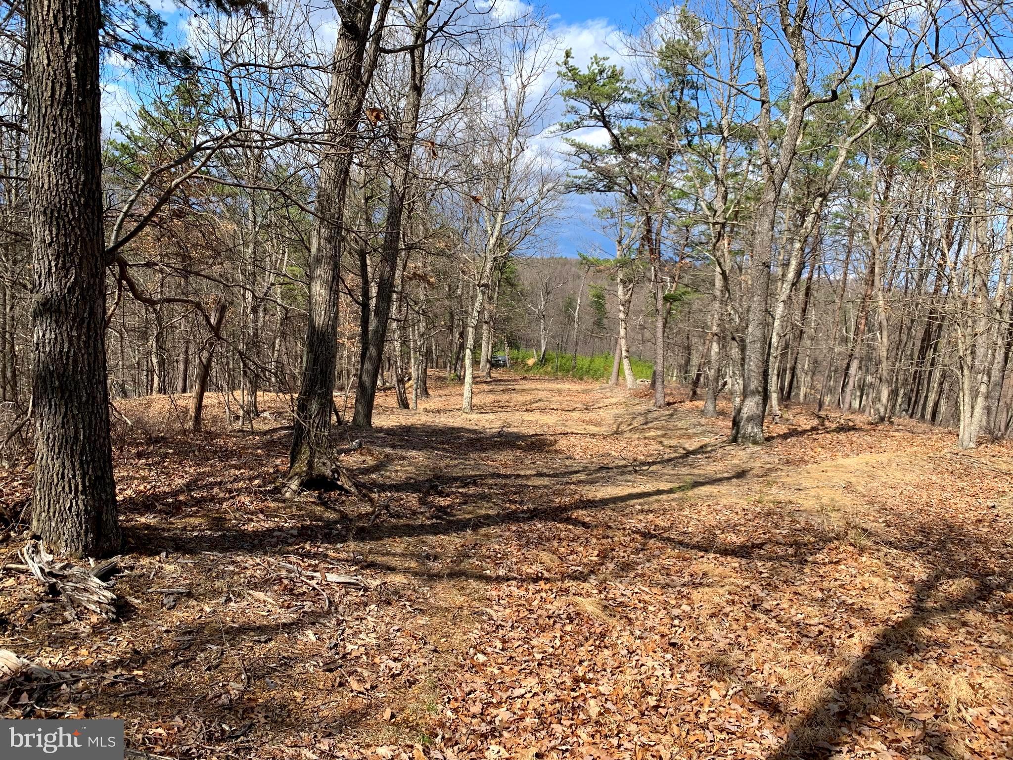 Oak Ridge Springfield, WV 26763 - Photo 1 of 12 Gallery Image 1