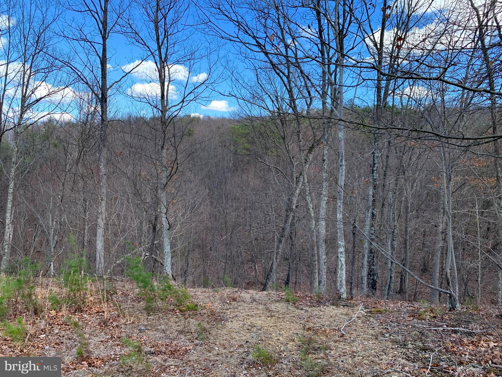 Oak Ridge Springfield, WV 26763 - Photo 5 of 12 Gallery Image 5
