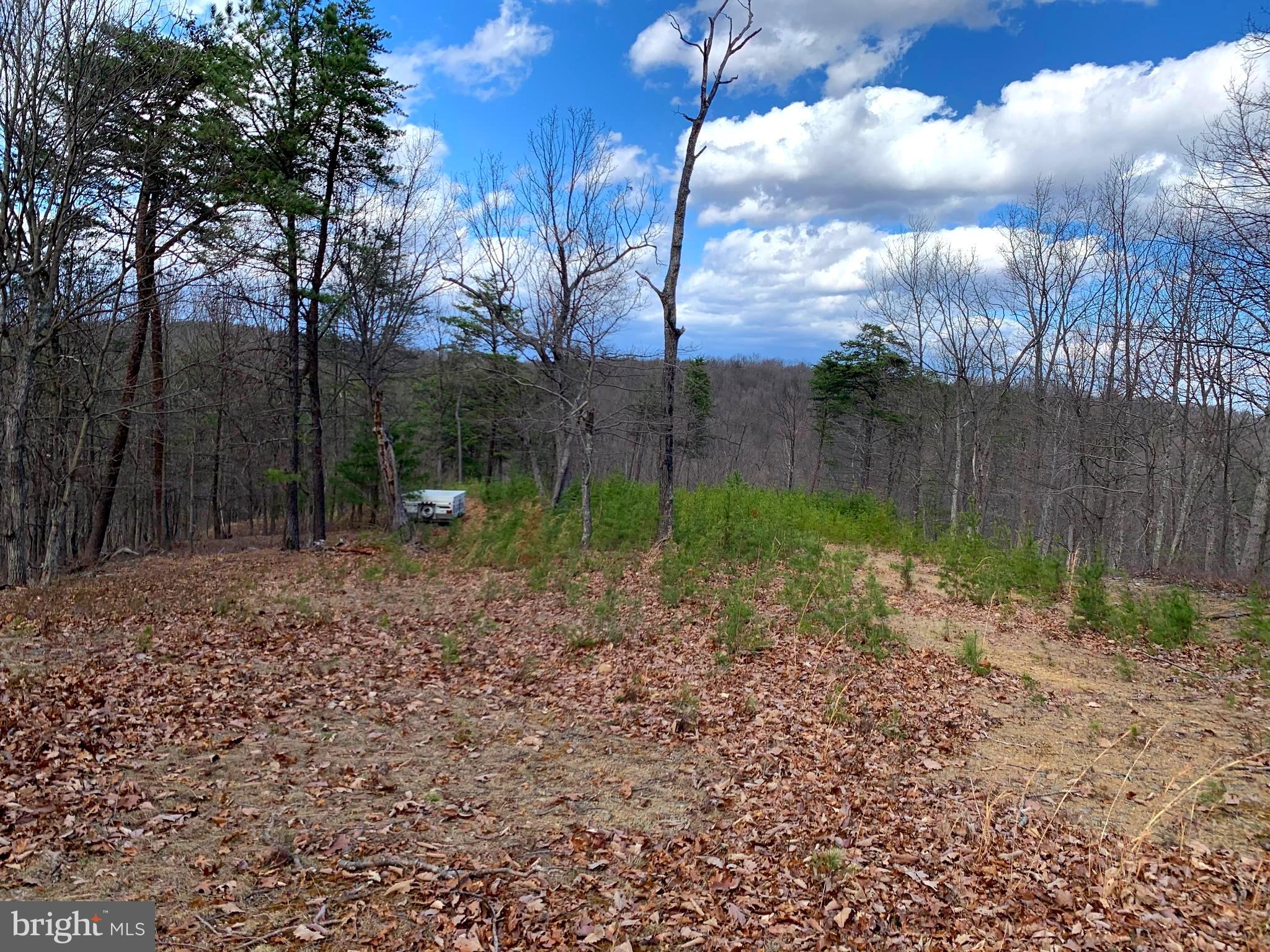 Oak Ridge Springfield, WV 26763 - Photo 8 of 12 Gallery Image 8
