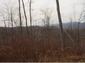 7 Off Falls Hill Road, Unit 7 Abingdon, VA 24210 - Photo 1 of 1 Photo 1