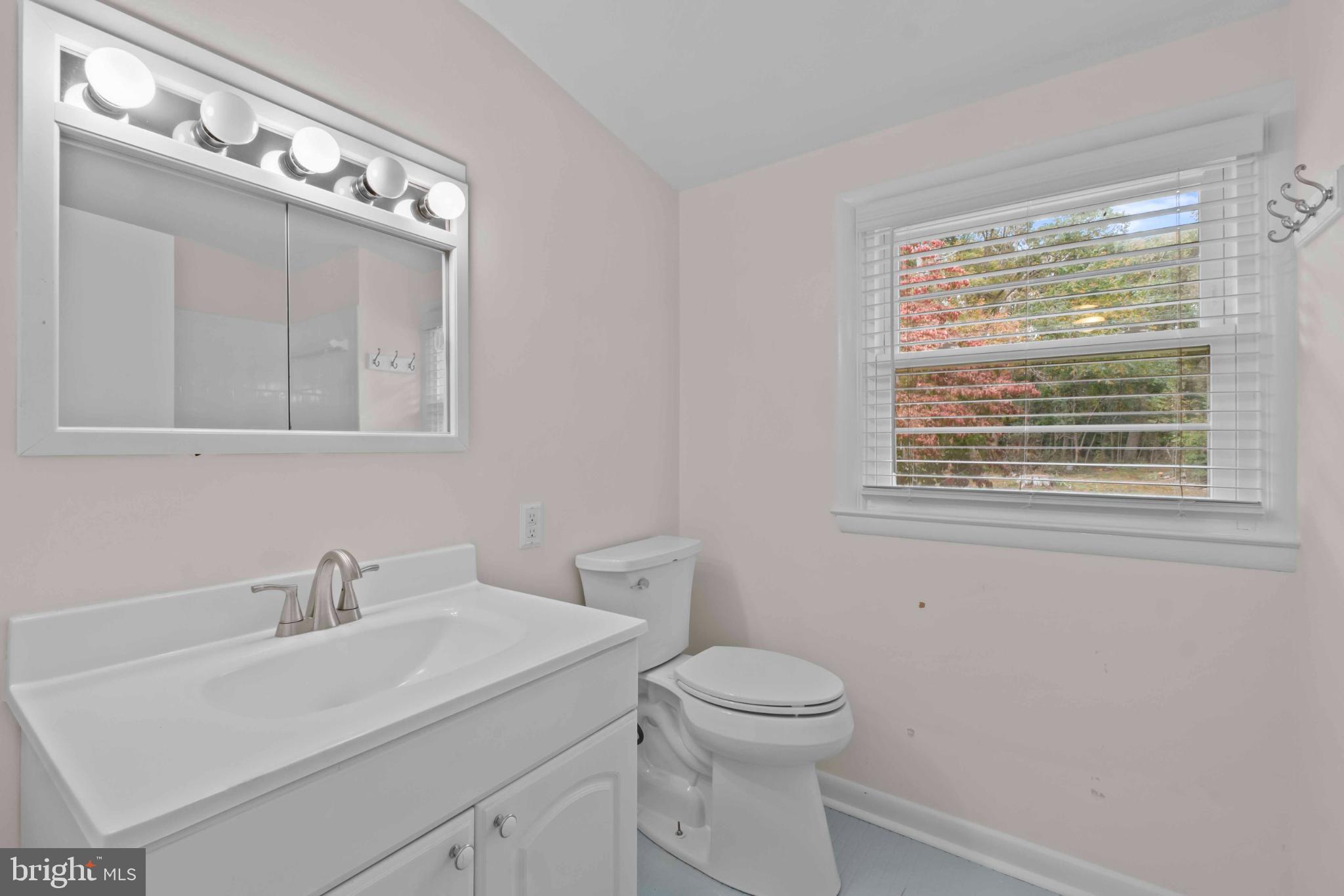 1016 Cold Bottom Road Sparks Glencoe, MD 21152 - Photo 28 of 39 Bright and airy bathroom