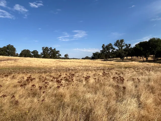 $299,000 | 29600 McCourtney Road, Grass Valley, CA 95949