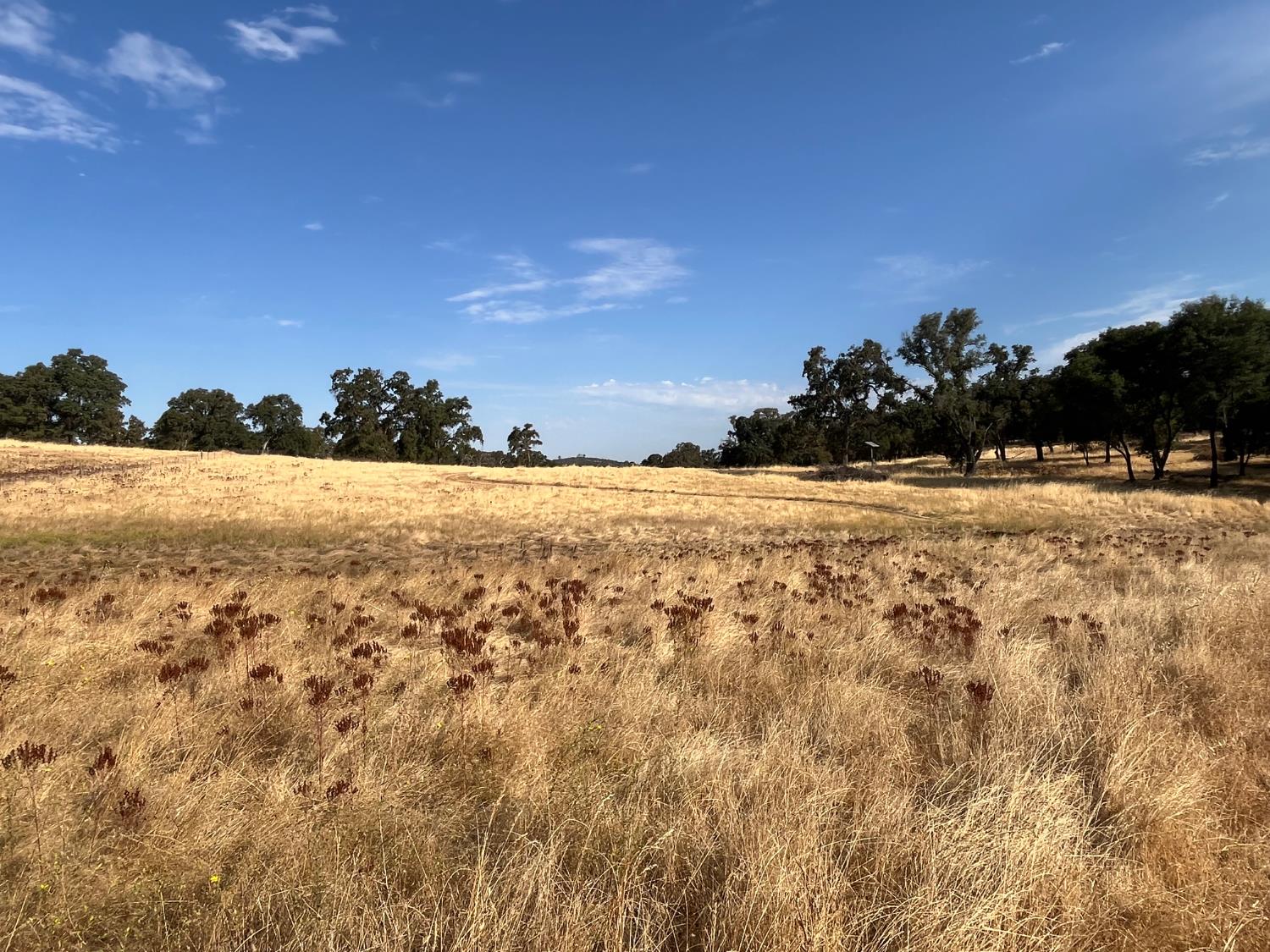 a view of ocean with a yard