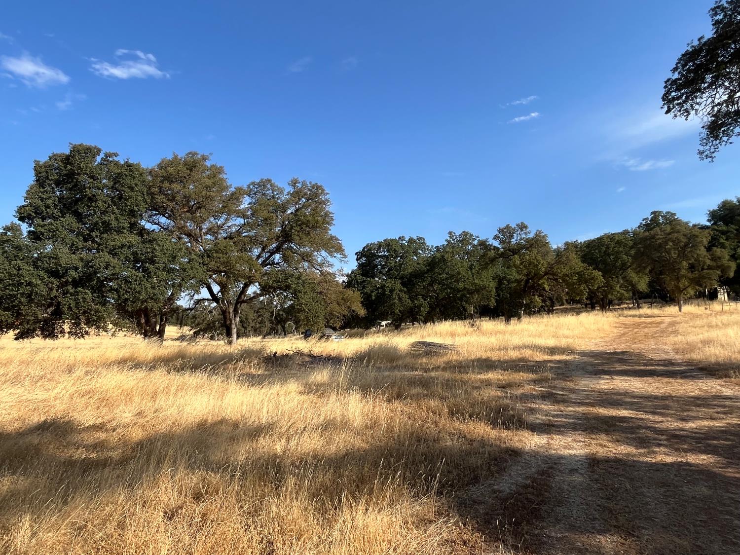 29600 McCourtney Road Grass Valley, CA 95949 - Photo 11 of 35 a view of ocean view