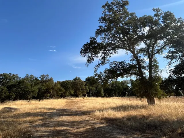 $299,000 | 29600 McCourtney Road, Grass Valley, CA 95949