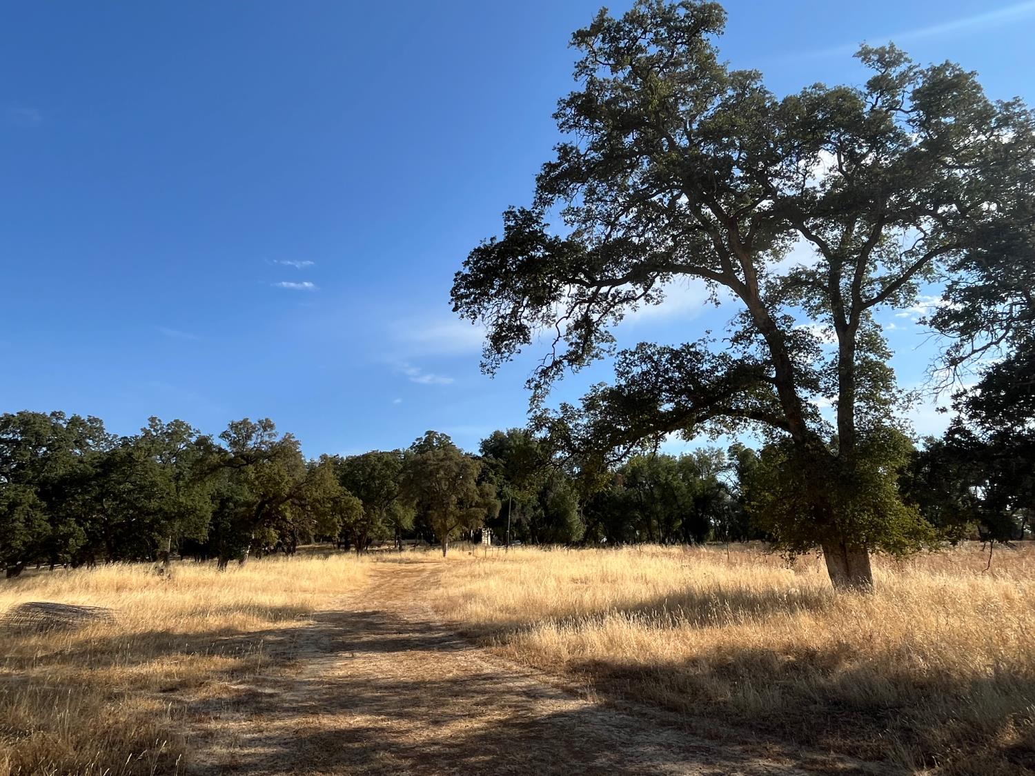29600 McCourtney Road Grass Valley, CA 95949 - Photo 12 of 35 a view of an ocean and beach