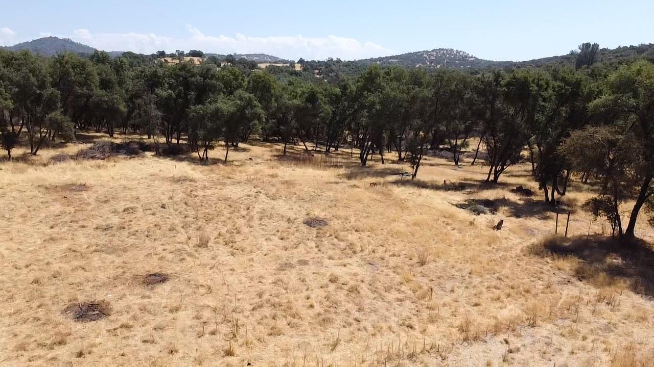 29600 McCourtney Road Grass Valley, CA 95949 - Photo 23 of 35 a view of outdoor space with trees