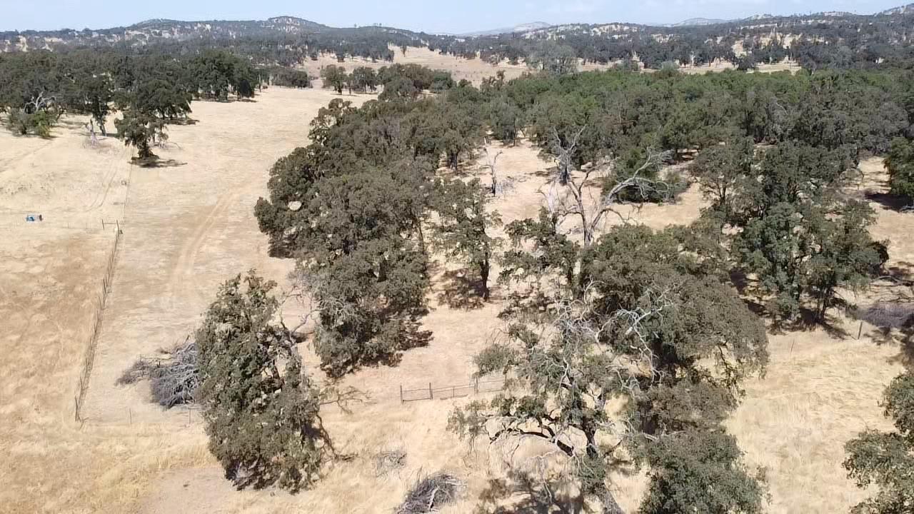 29600 McCourtney Road Grass Valley, CA 95949 - Photo 27 of 35 a view of mountain view with lots of trees