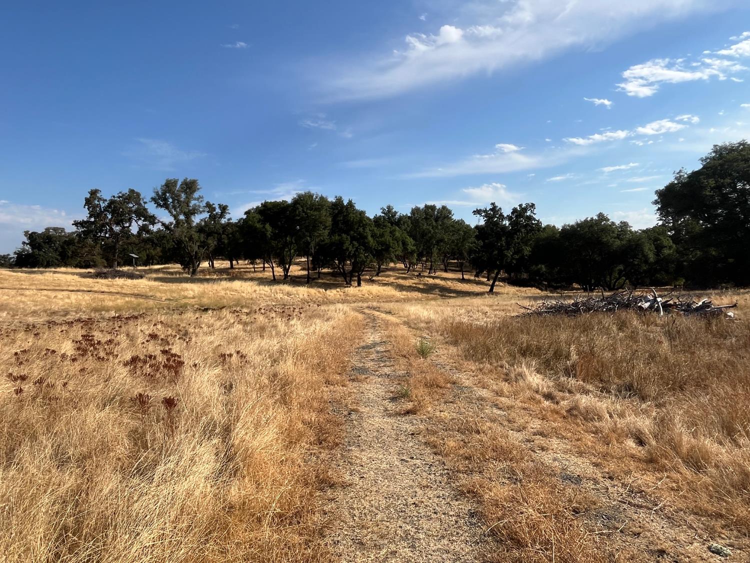 29600 McCourtney Road Grass Valley, CA 95949 - Photo 4 of 35 a view of dirt field with trees