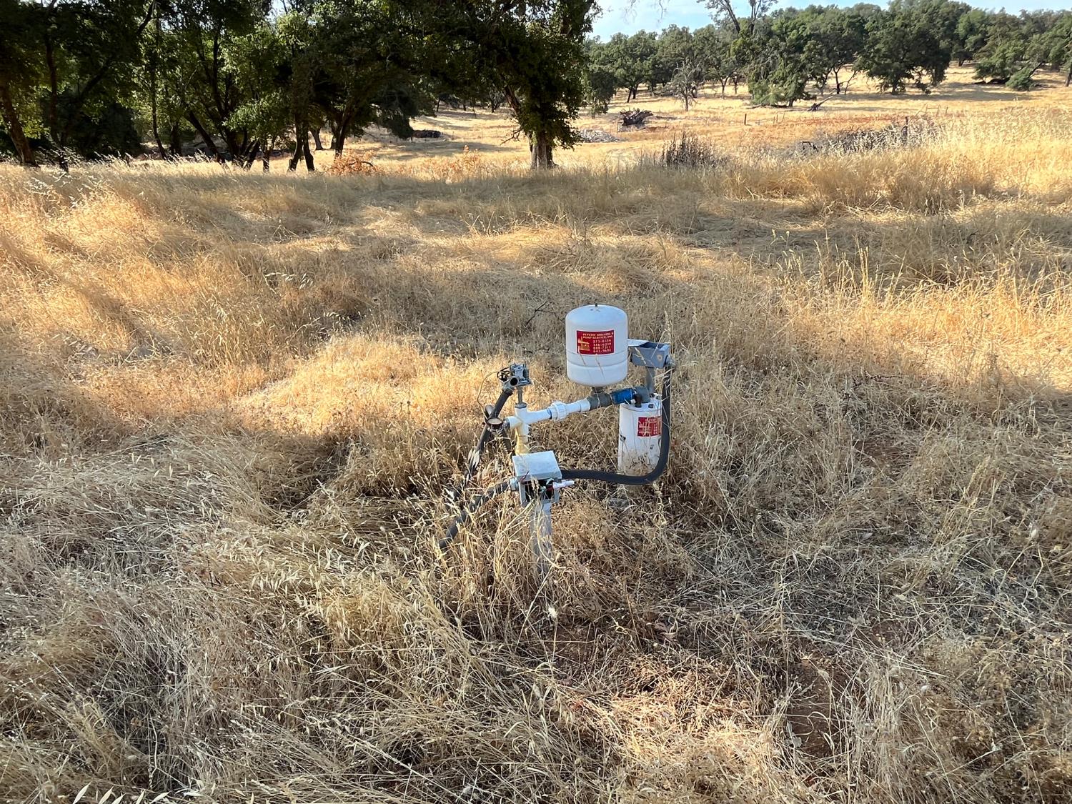 29600 McCourtney Road Grass Valley, CA 95949 - Photo 6 of 35 a view of a lake with a yard