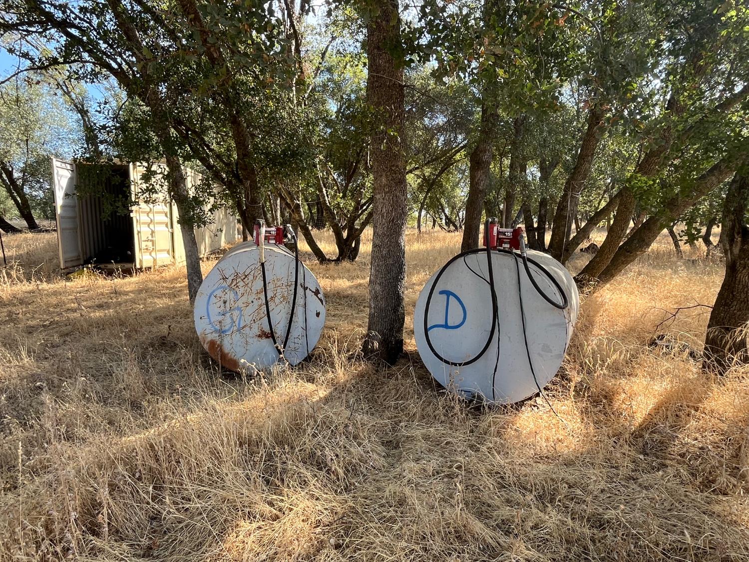 29600 McCourtney Road Grass Valley, CA 95949 - Photo 7 of 35 a front view of a house with garden