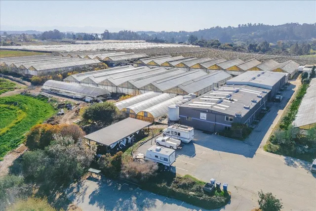a view of sitting area on roof with potted plants