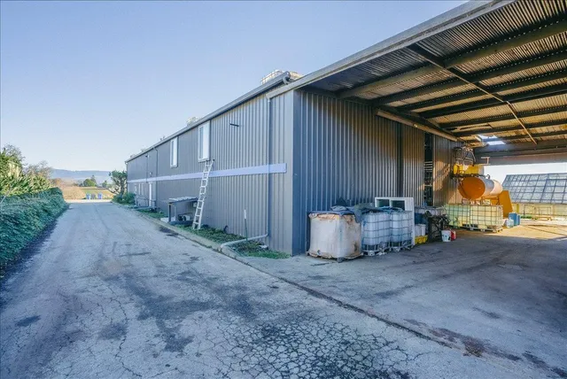 a backyard of a building with lots of green space and plants