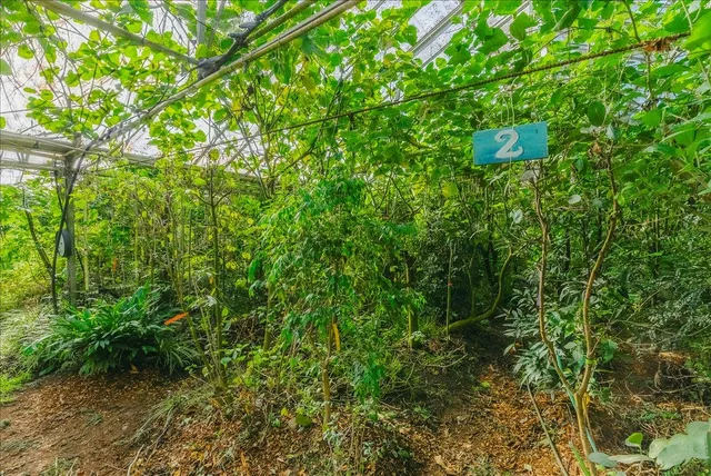 an aerial view of residential house with outdoor space and swimming pool