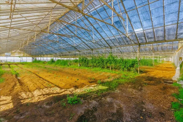a view of an chairs and table in the patio