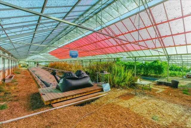 a living room with furniture fireplace and a large window