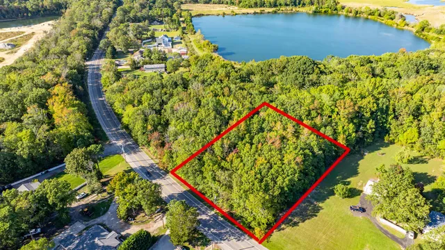 a picture of flowers