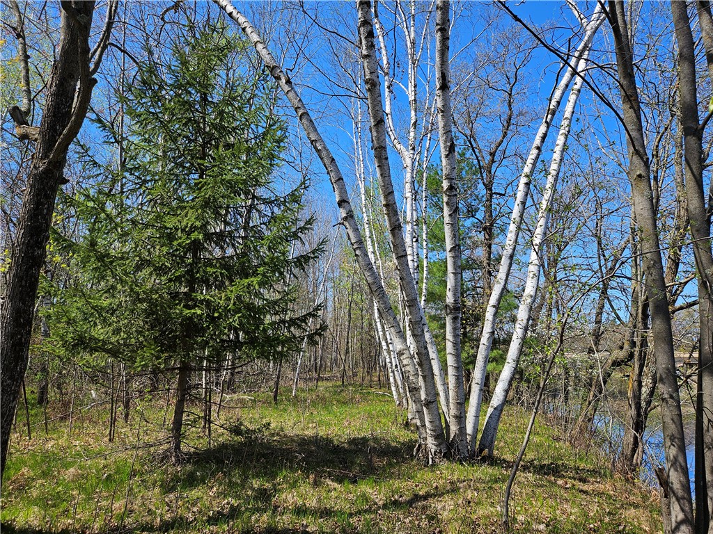 Undisclosed Address Rice Lake, WI 54868 - Photo 12 of 29
