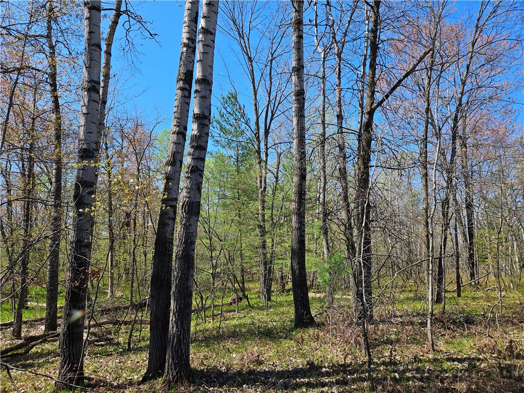 Undisclosed Address Rice Lake, WI 54868 - Photo 15 of 29