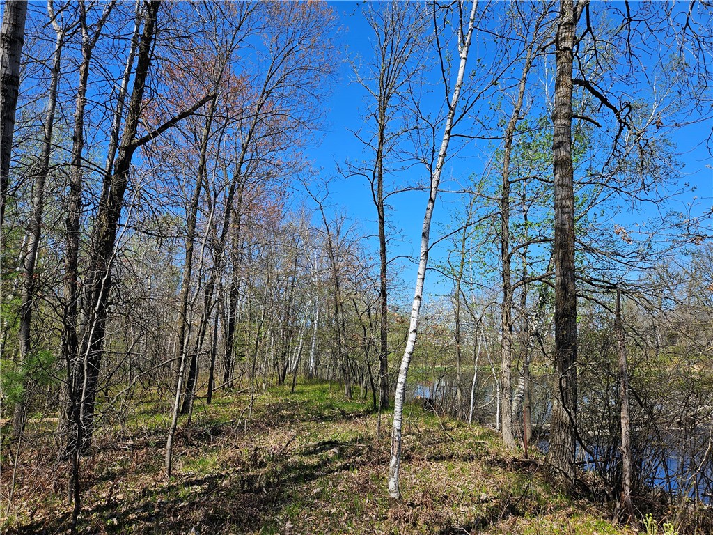 Undisclosed Address Rice Lake, WI 54868 - Photo 16 of 29