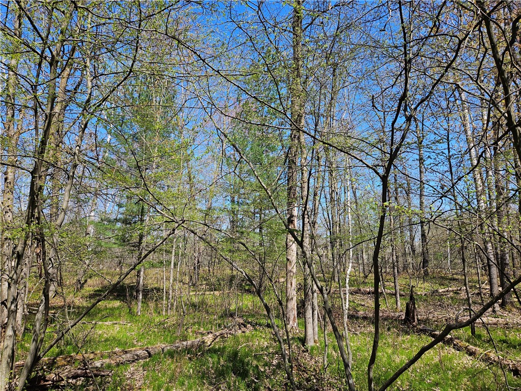 Undisclosed Address Rice Lake, WI 54868 - Photo 17 of 29