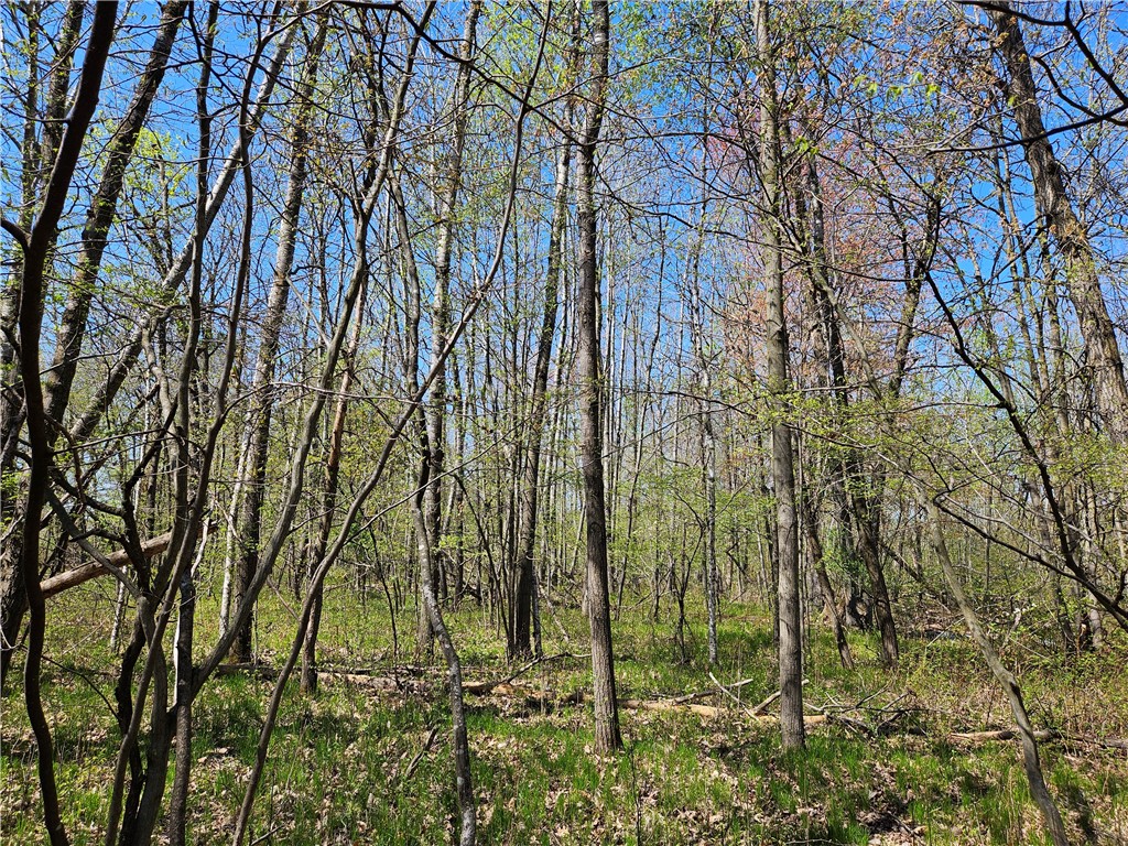 Undisclosed Address Rice Lake, WI 54868 - Photo 18 of 29