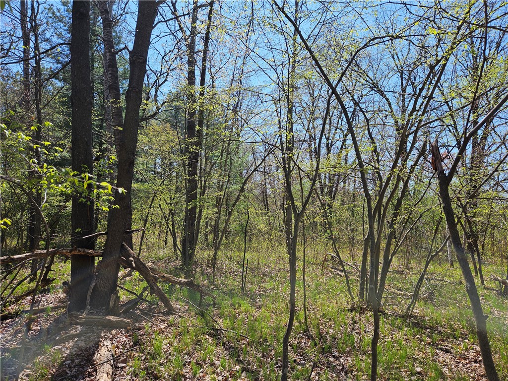 Undisclosed Address Rice Lake, WI 54868 - Photo 19 of 29