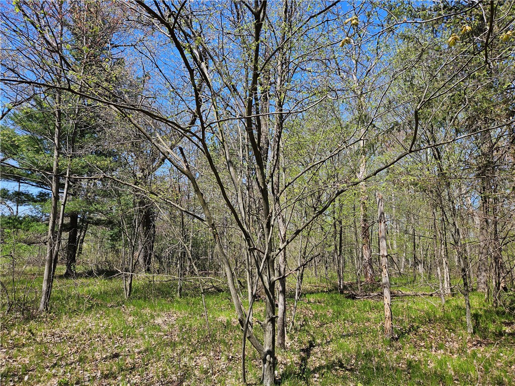 Undisclosed Address Rice Lake, WI 54868 - Photo 20 of 29