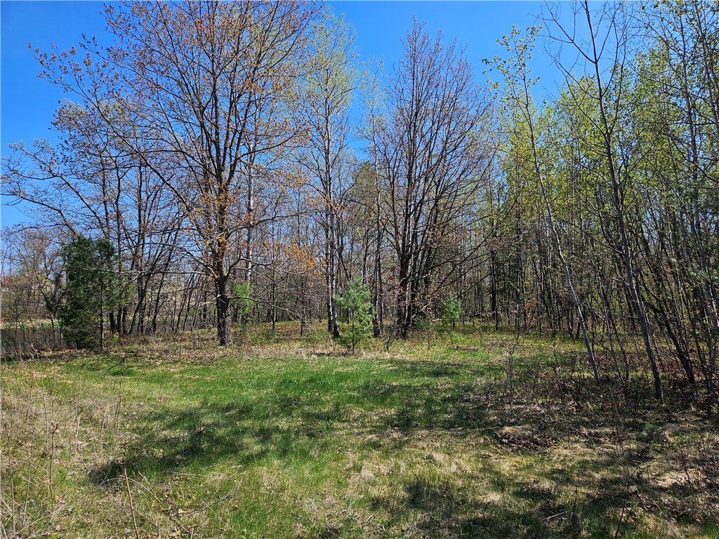 Undisclosed Address Rice Lake, WI 54868 - Photo 2 of 29