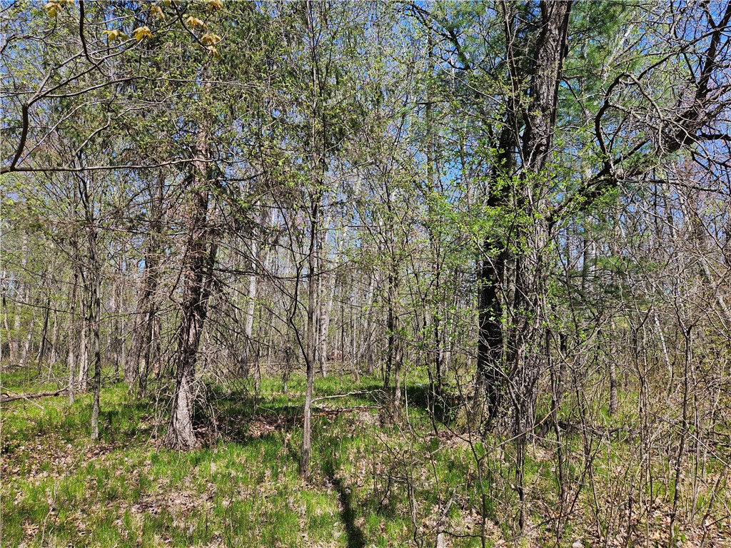 Undisclosed Address Rice Lake, WI 54868 - Photo 21 of 29