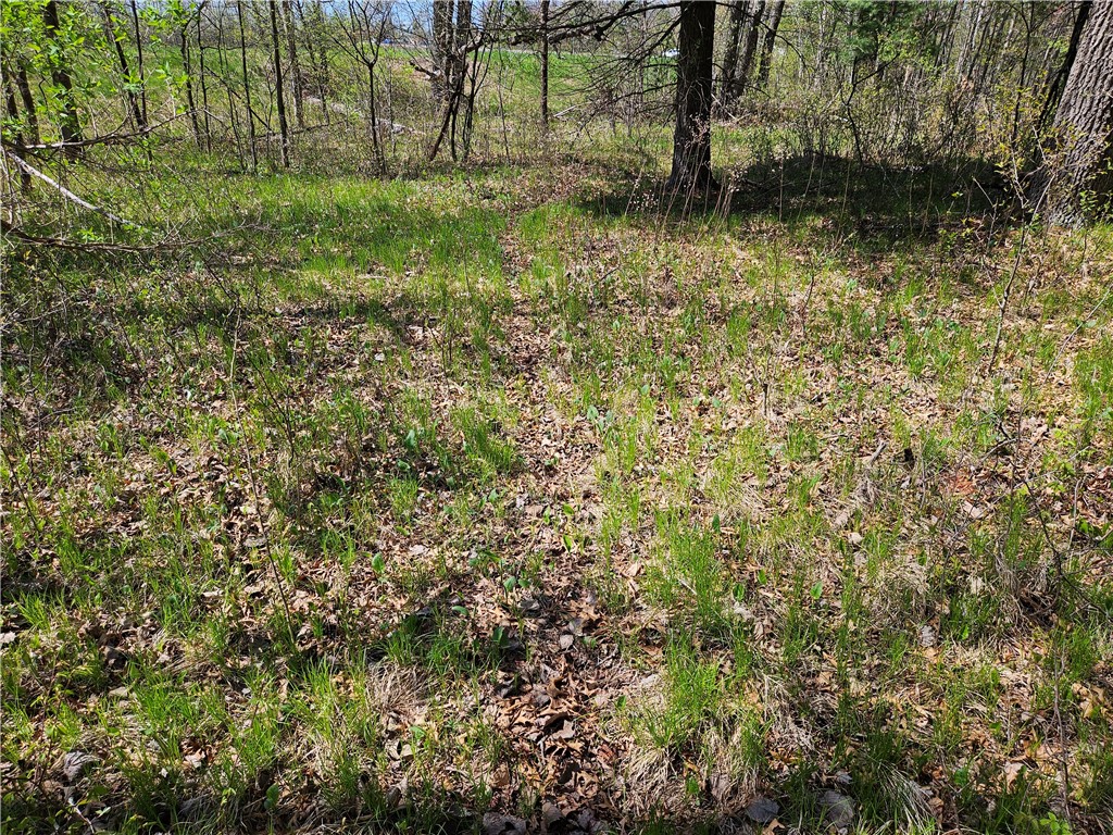 Undisclosed Address Rice Lake, WI 54868 - Photo 22 of 29