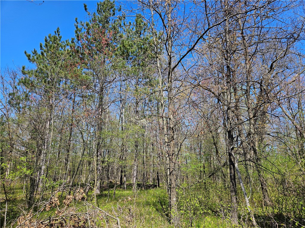 Undisclosed Address Rice Lake, WI 54868 - Photo 23 of 29