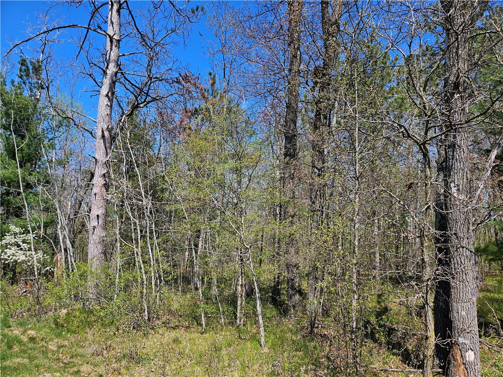 Undisclosed Address Rice Lake, WI 54868 - Photo 24 of 29