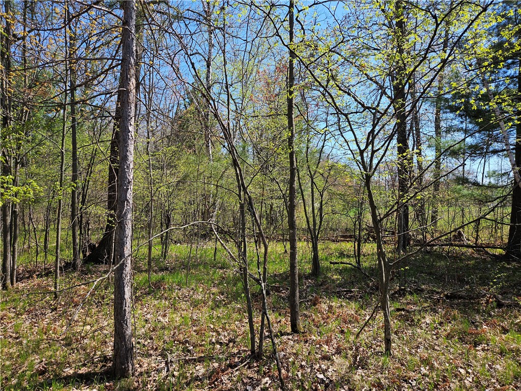 Undisclosed Address Rice Lake, WI 54868 - Photo 25 of 29