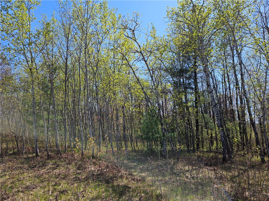 Undisclosed Address Rice Lake, WI 54868 - Photo 3 of 29